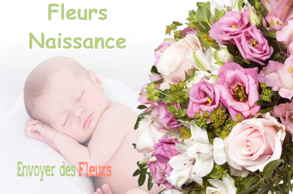 lIVRAISON FLEURS NAISSANCE à LANS-EN-VERCORS